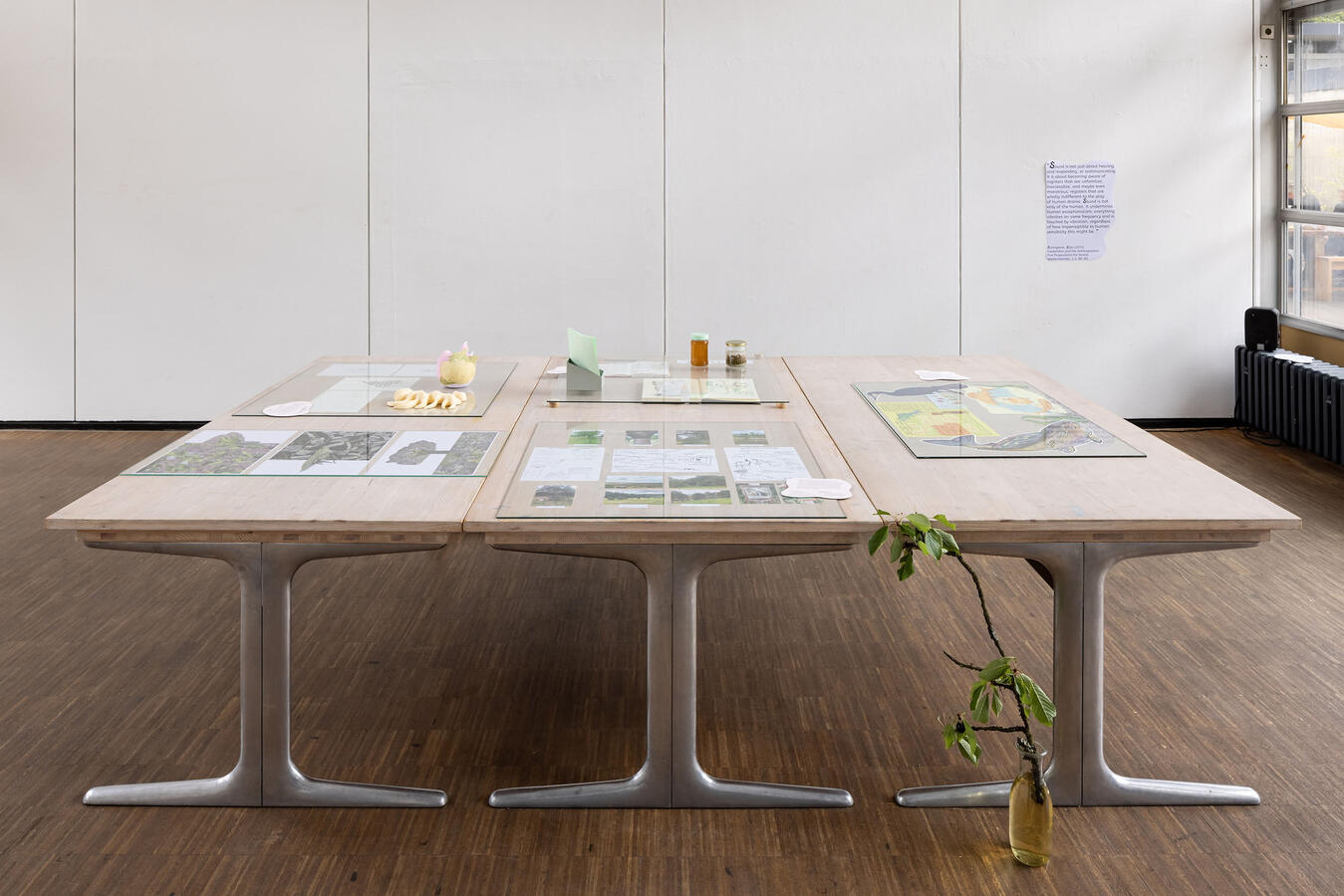 Präsentation im Raum der Theorie und Praxis der Visuellen Kommunikation, © Katharina Jaeger, fotografische Werkstatt