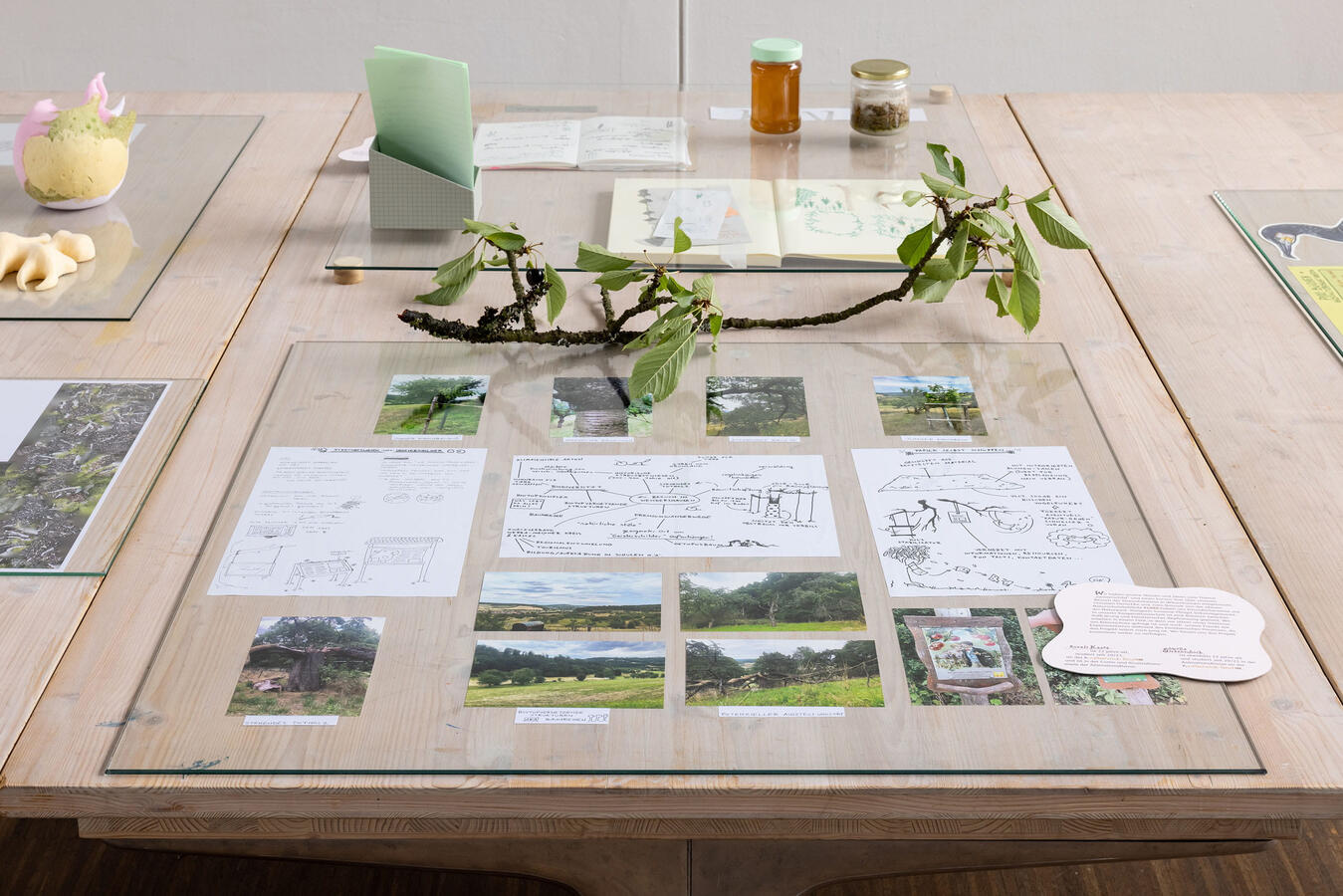 Präsentation im Raum der Theorie und Praxis der Visuellen Kommunikation, © Katharina Jaeger, fotografische Werkstatt