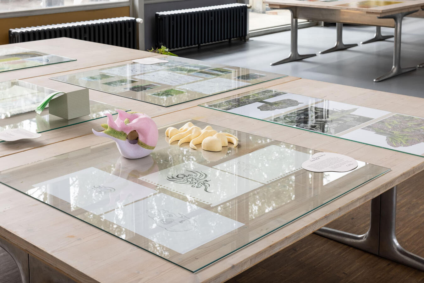 Präsentation im Raum der Theorie und Praxis der Visuellen Kommunikation, © Katharina Jaeger, fotografische Werkstatt