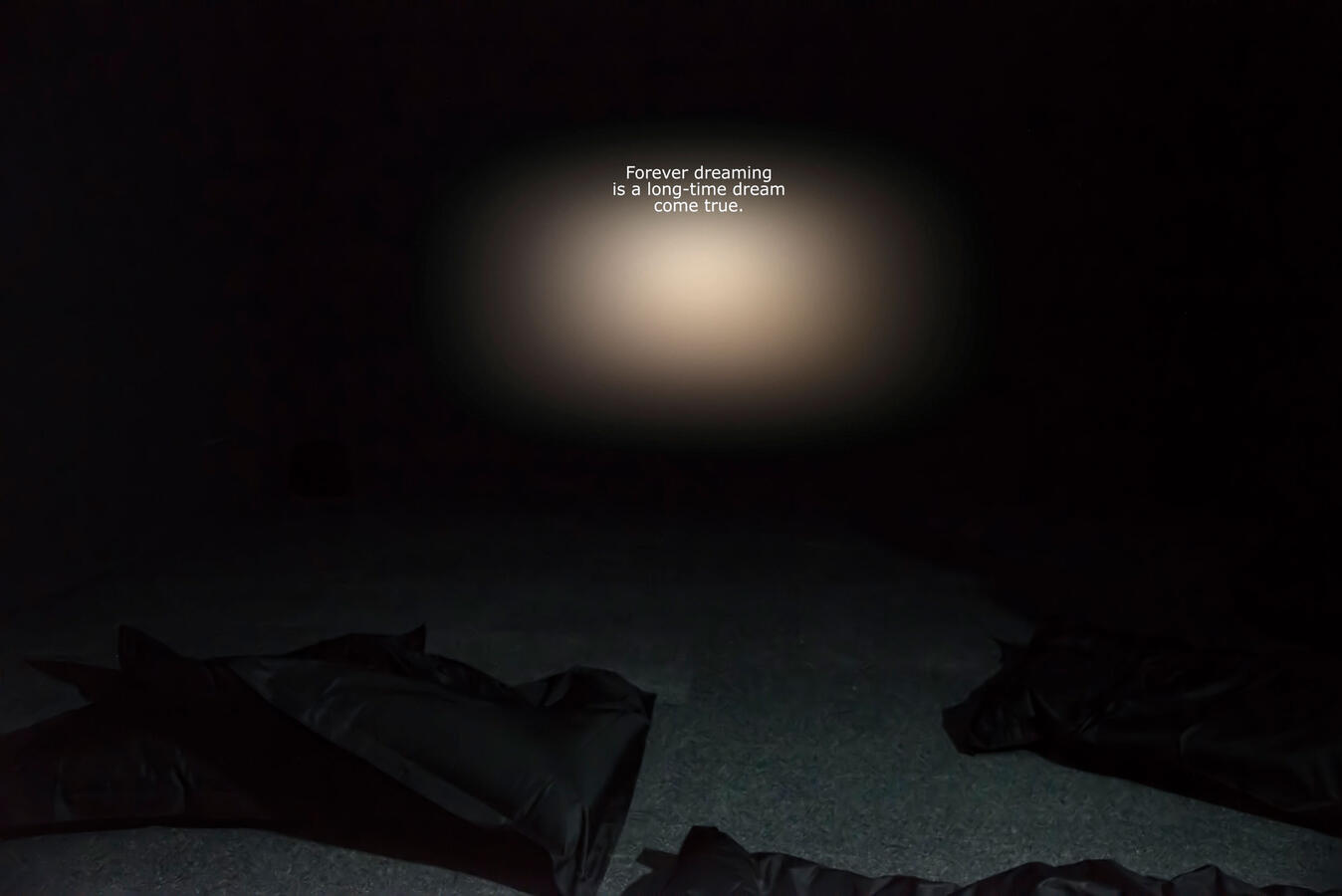 Kristin Reiman: The Drowse (or the Age of Constant Fatigue), Foto: Anja Köhne