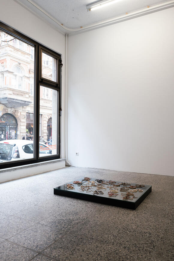 Anna Breit: bodies performing alphabet, Foto: Maximilian Koppernock