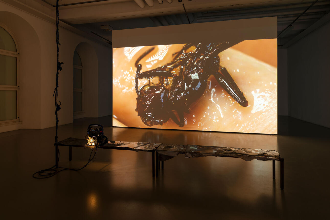 Lotte Meret: To Fear, Hope and Desire Again, Foto: Nicolas Wefers