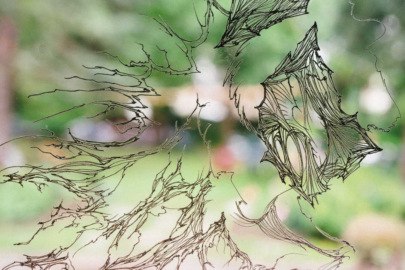 Zeichnungen auf Fensterfolie von Sophie Hoyle, Foto: Maximilian Koppernock