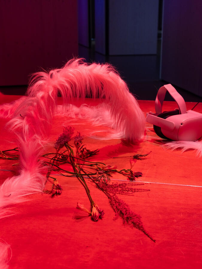 shasti (Andara Shastika): Familiars, Foto: Lucas Melzer