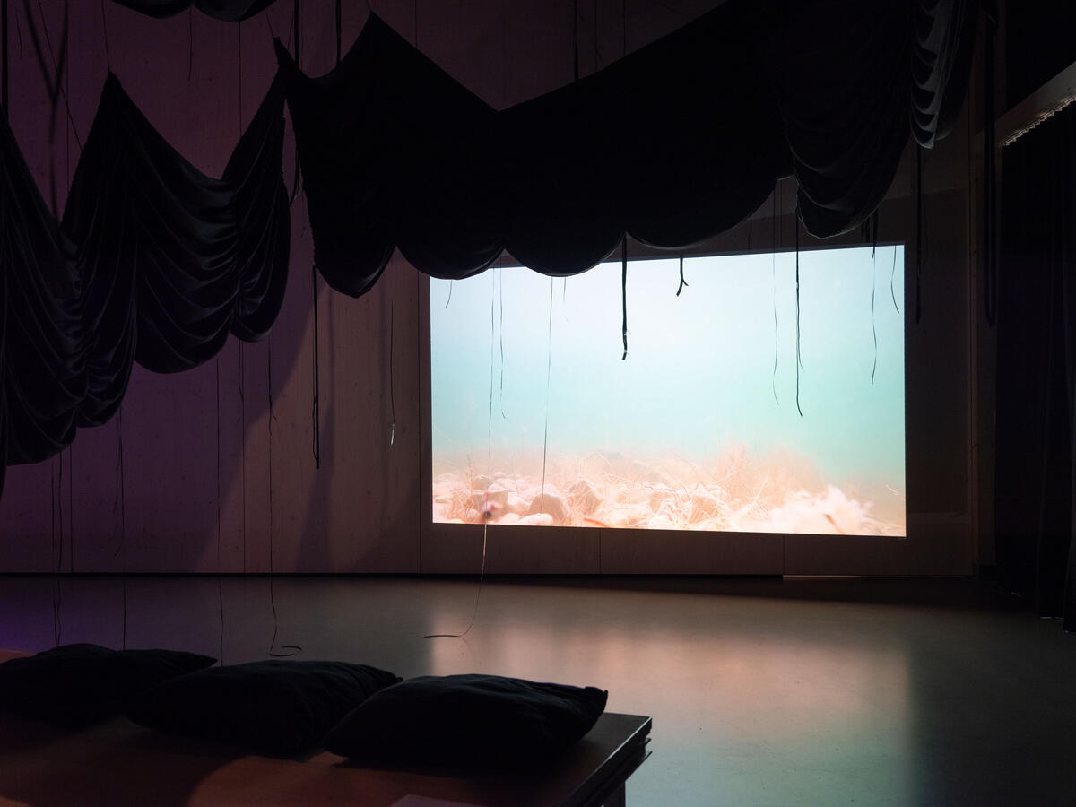 Steph Joyce: Slippery, Foto: Lucas Melzer