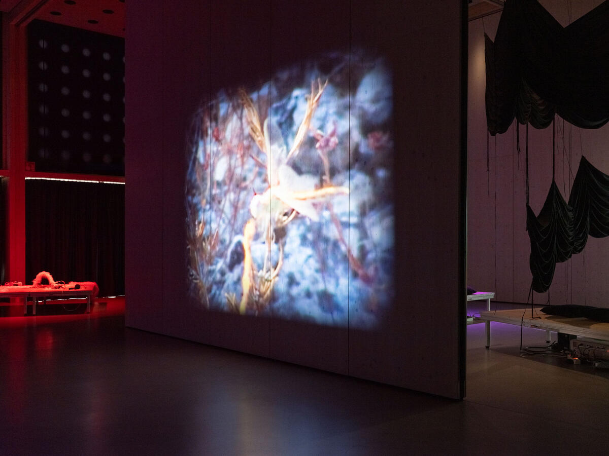 Benedict Reinhold: Light and Space (Time and Scale), Foto: Lucas Melzer