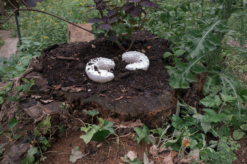 So etwas wie Gesundheit gibt es nicht